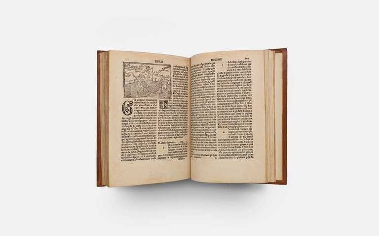 CRESCIENTIO Piero. De Agricultura Vulgare | Immagine Gallery 15