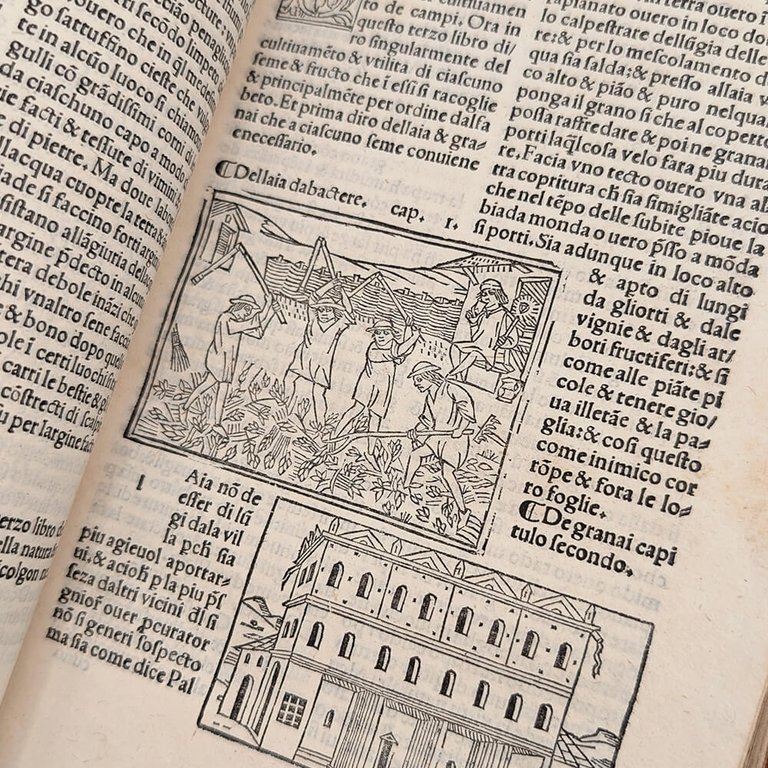 CRESCIENTIO Piero. De Agricultura Vulgare | Immagine Gallery 24