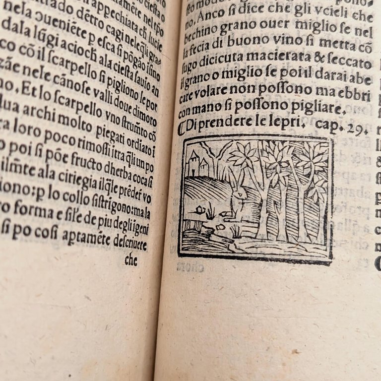 CRESCIENTIO Piero. De Agricultura Vulgare | Immagine Gallery 27