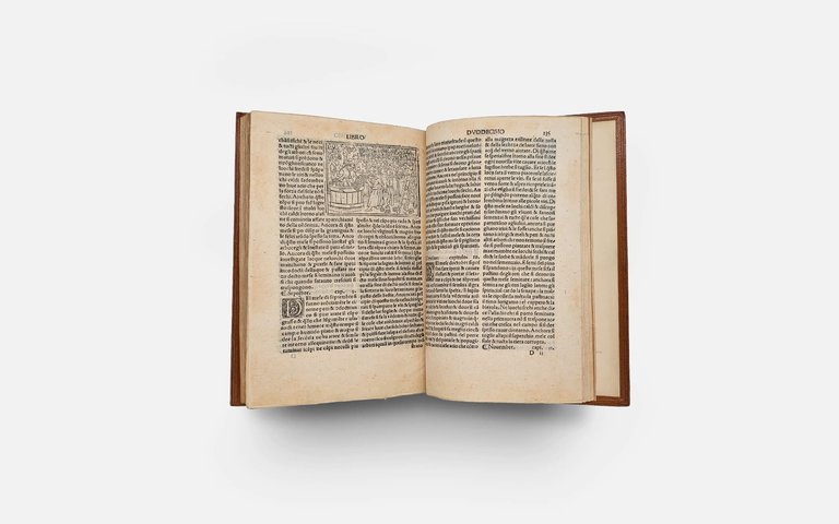 CRESCIENTIO Piero. De Agricultura Vulgare | Immagine Gallery 7
