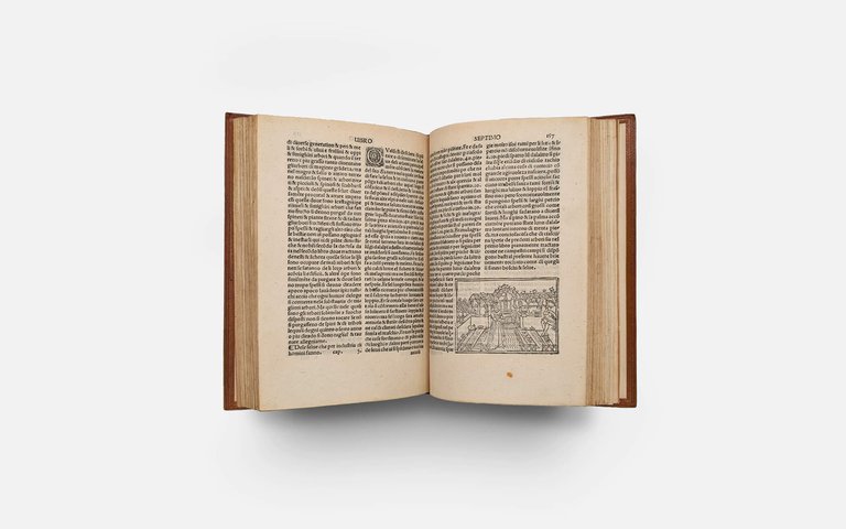 CRESCIENTIO Piero. De Agricultura Vulgare | Immagine Gallery 8
