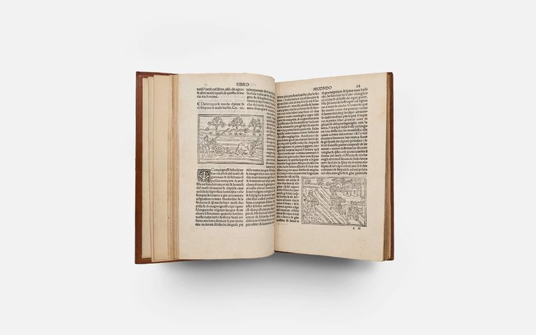 CRESCIENTIO Piero. De Agricultura Vulgare | Immagine Gallery 9