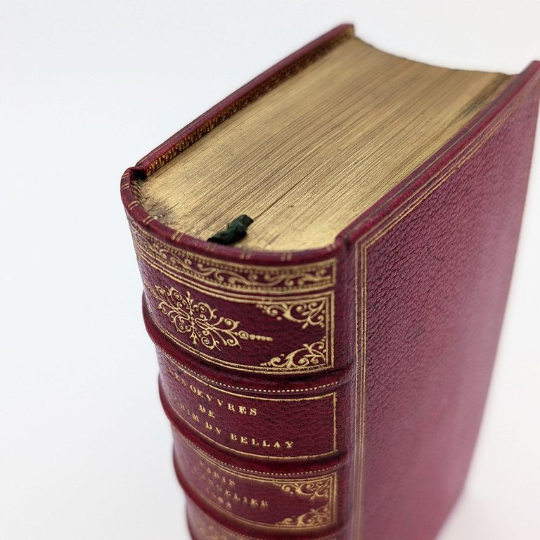 DU BELLAY Joachim. Les œuvres françoises | Immagine Gallery 13