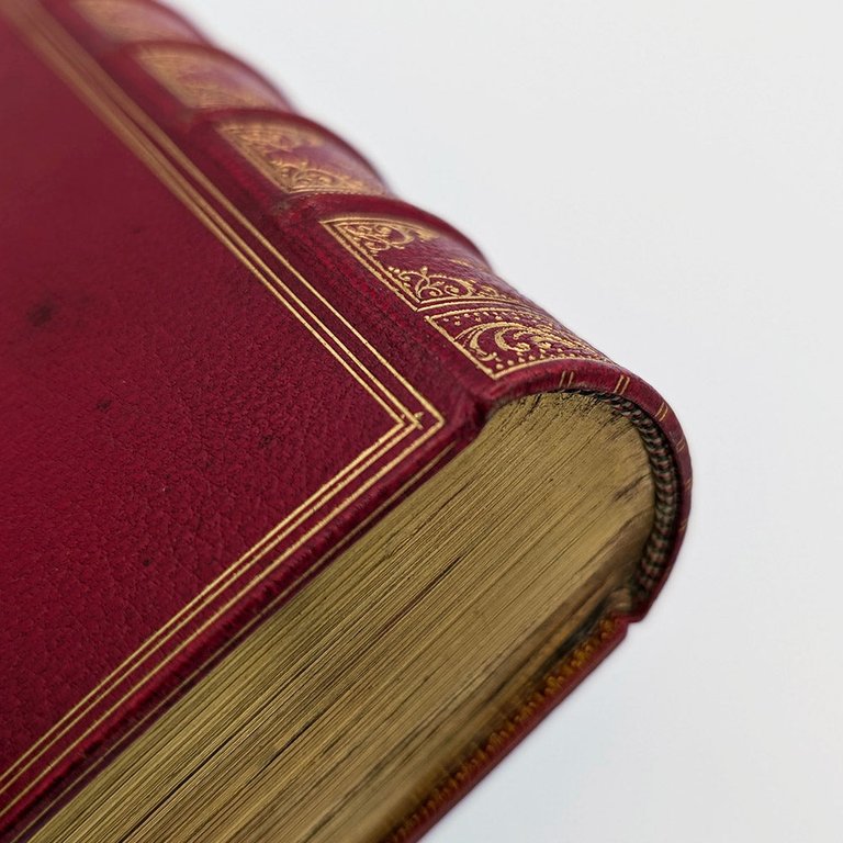 DU BELLAY Joachim. Les œuvres françoises | Immagine Gallery 14