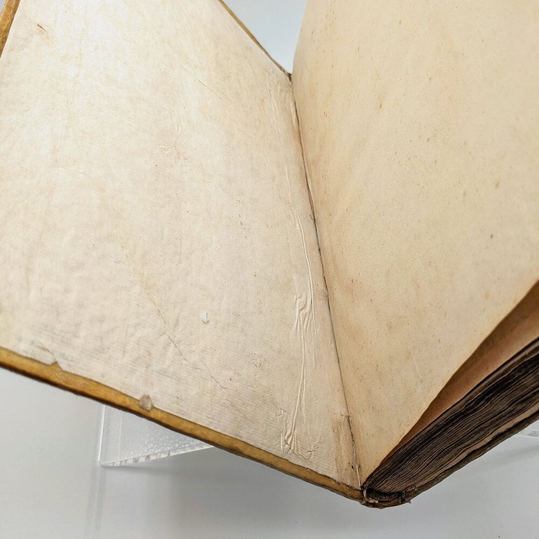 DÜRER Albrecht. Les quatre livres d'Albert Durer 1557 | Immagine Gallery 16