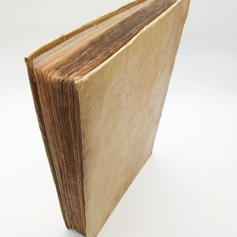 DÜRER Albrecht. Les quatre livres d'Albert Durer 1557 | Immagine Gallery 17