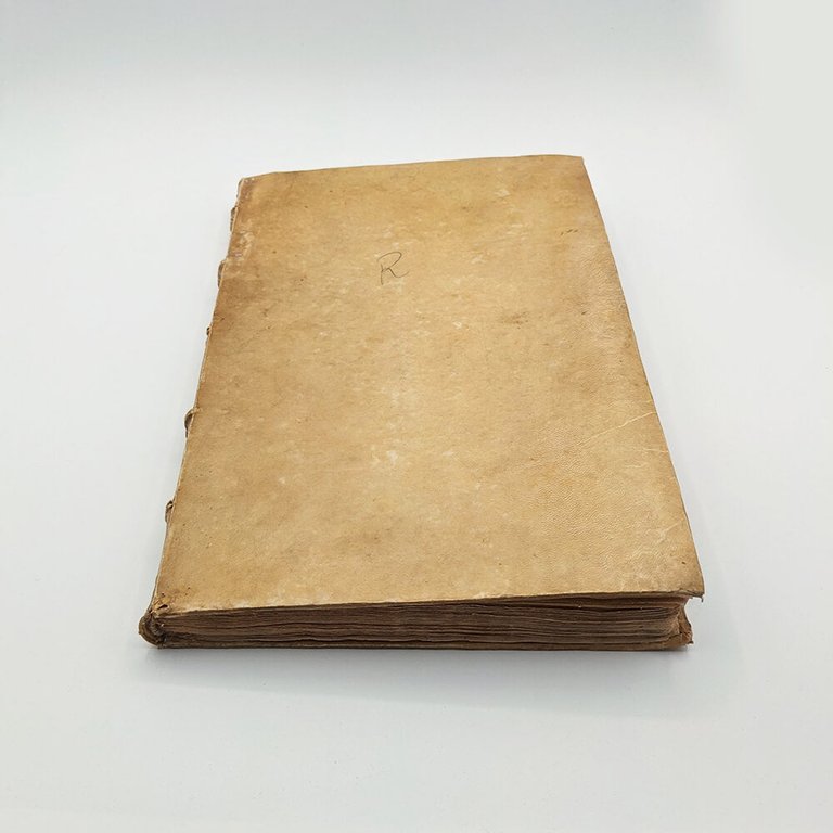 DÜRER Albrecht. Les quatre livres d'Albert Durer 1557 | Immagine Gallery 18