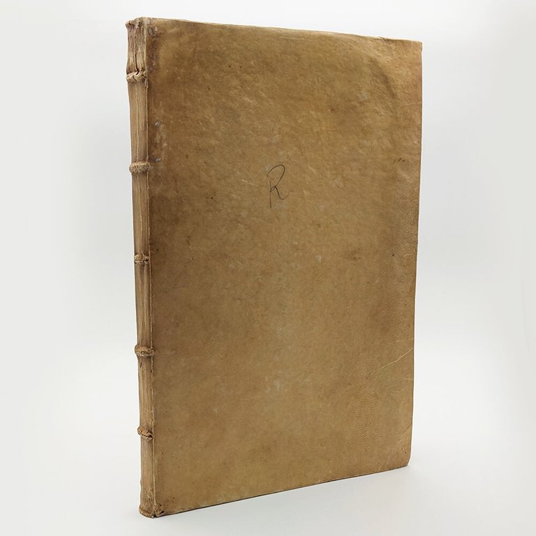 DÜRER Albrecht. Les quatre livres d'Albert Durer 1557 | Immagine Gallery 19