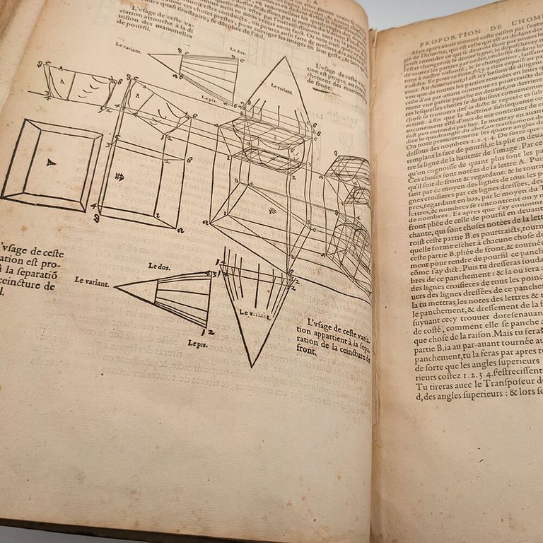 DÜRER Albrecht. Les quatre livres d'Albert Durer 1557 | Immagine Gallery 23