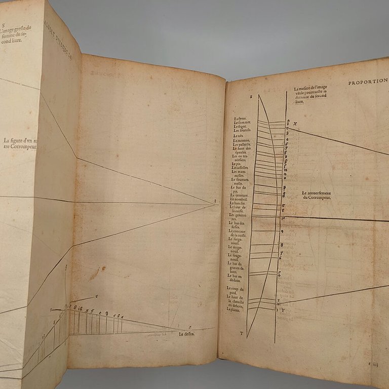 DÜRER Albrecht. Les quatre livres d'Albert Durer 1557 | Immagine Gallery 24