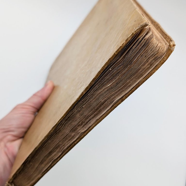 DÜRER Albrecht. Les quatre livres d'Albert Durer 1557 | Immagine Gallery 29