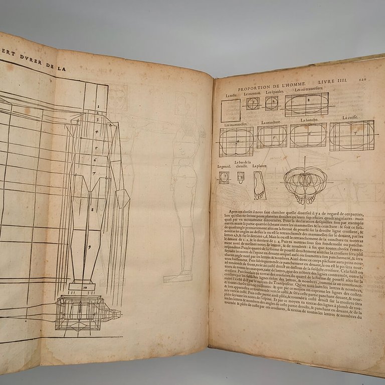 DÜRER Albrecht. Les quatre livres d'Albert Durer 1557 | Immagine Gallery 25