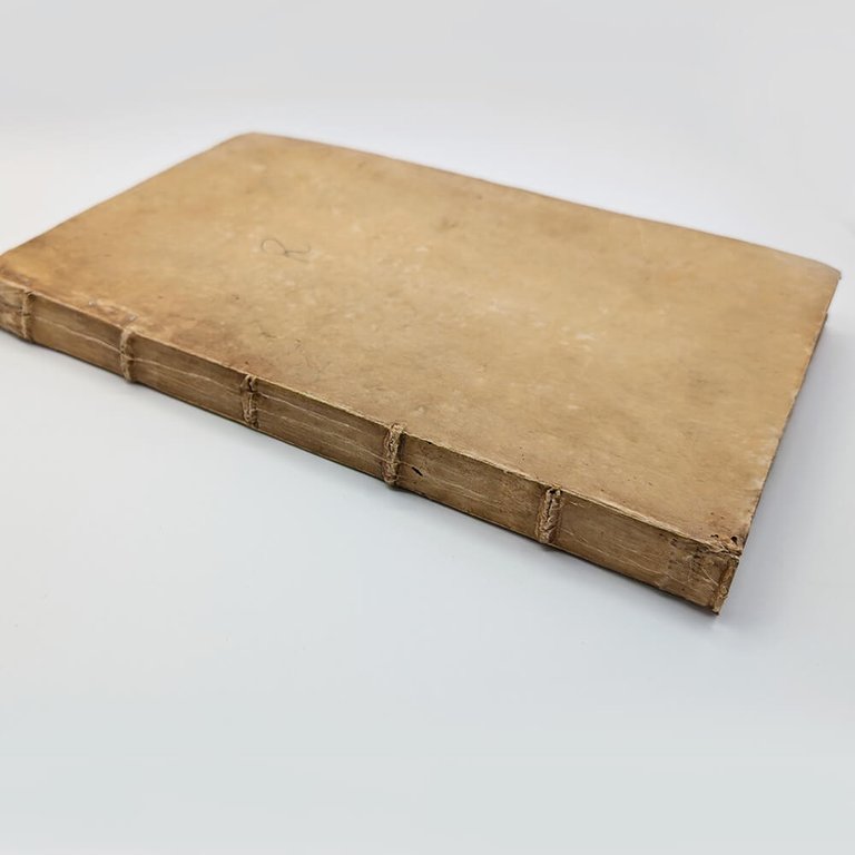 DÜRER Albrecht. Les quatre livres d'Albert Durer 1557 | Immagine Gallery 30