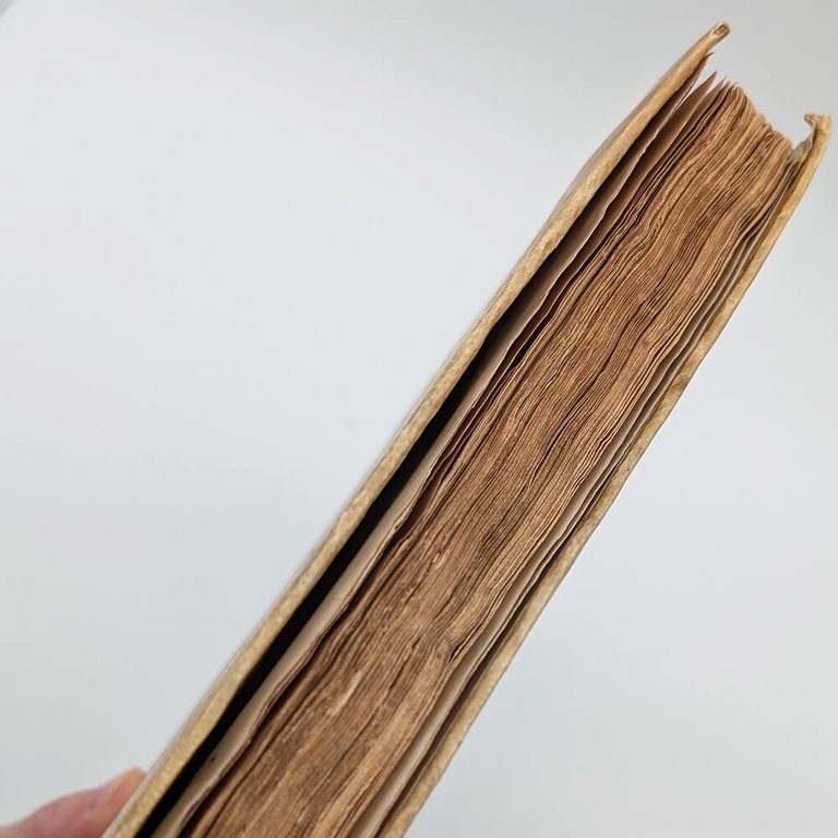 DÜRER Albrecht. Les quatre livres d'Albert Durer 1557 | Immagine Gallery 31
