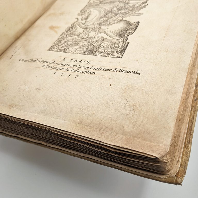 DÜRER Albrecht. Les quatre livres d'Albert Durer 1557 | Immagine Gallery 3