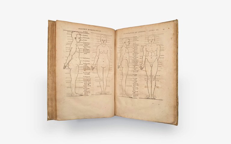 DÜRER Albrecht. Les quatre livres d'Albert Durer 1557 | Immagine Gallery 5