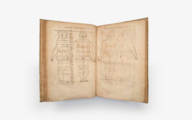 DÜRER Albrecht. Les quatre livres d'Albert Durer 1557 | Immagine Gallery 9