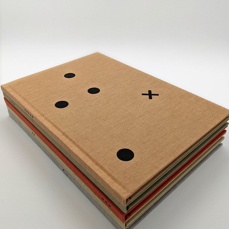 GOLDBERG Carin. School of Visual Arts - Senior Library 2004 | Immagine Gallery 2