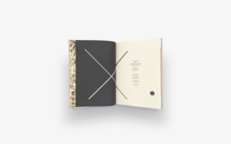 GOLDBERG Carin. School of Visual Arts - Senior Library 2004 | Immagine Gallery 6