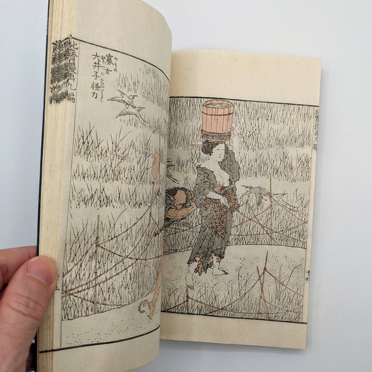 HOKUSAI Katsushika. Mangas, Sketchbooks | Immagine Gallery 10