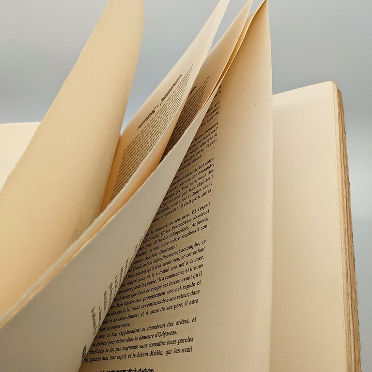 HOMÈRE - ROCHEGROSSE Georges-Antoine. L'Odyssée | Immagine Gallery 13