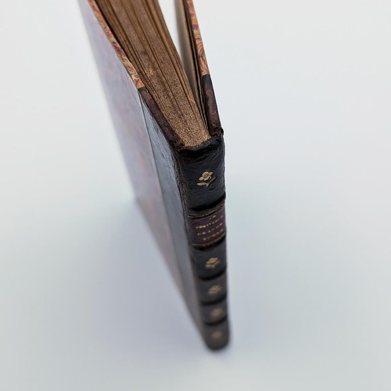 Le Véritable Dragon Rouge | Immagine Gallery 3