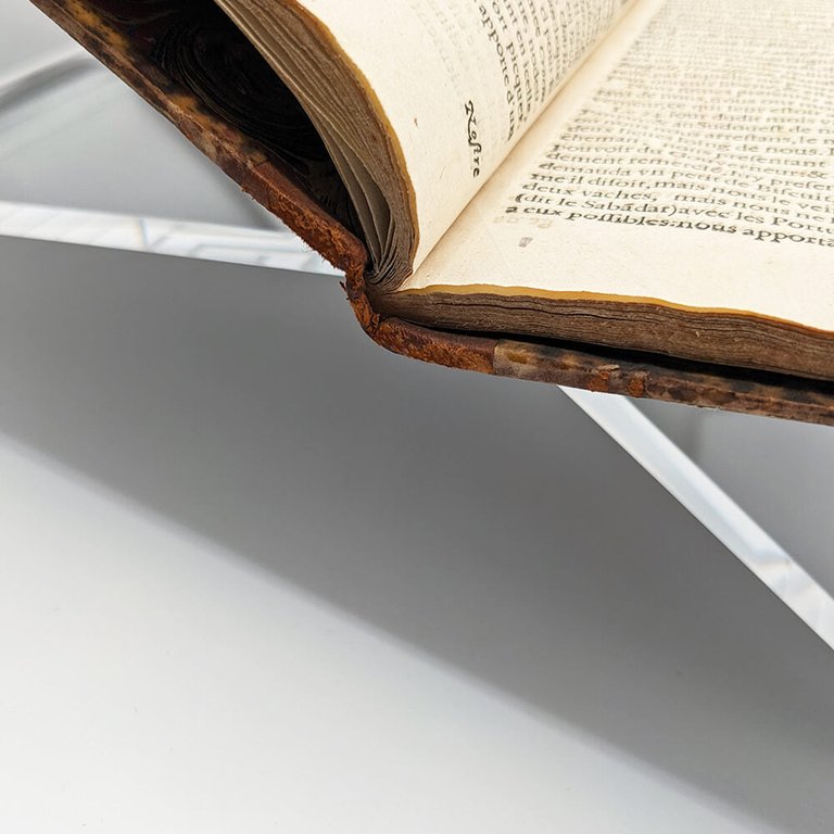 LODEWIJCKSZ. Premier Livre de L'histoire de la Navigation aux Indes … | Immagine Gallery 7