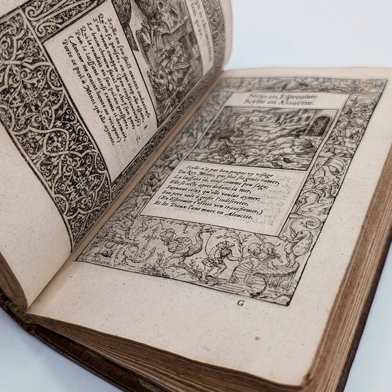 OVIDE. La métamorphose d'Ovid figurée | Immagine Gallery 12