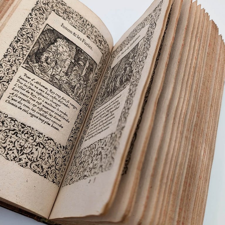 OVIDE. La métamorphose d'Ovid figurée | Immagine Gallery 13