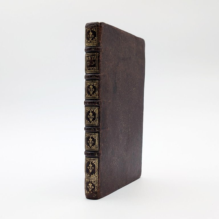 OVIDE. La métamorphose d'Ovid figurée | Immagine Gallery 4