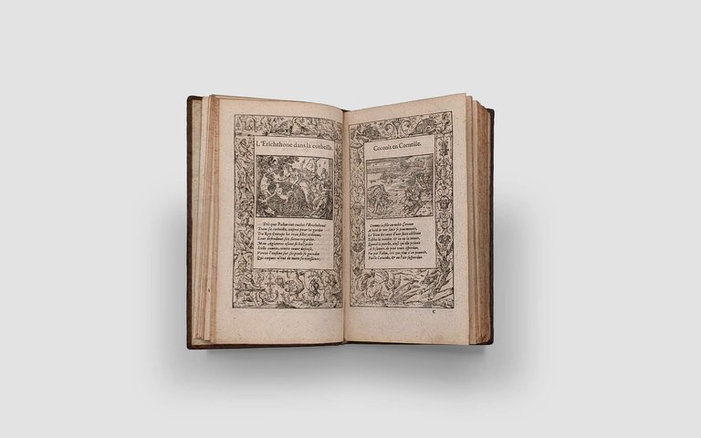 OVIDE. La métamorphose d'Ovid figurée | Immagine Gallery 5