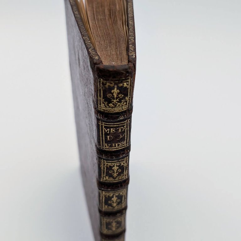 OVIDE. La métamorphose d'Ovid figurée | Immagine Gallery 8