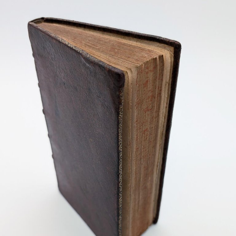 OVIDE. La métamorphose d'Ovid figurée | Immagine Gallery 9