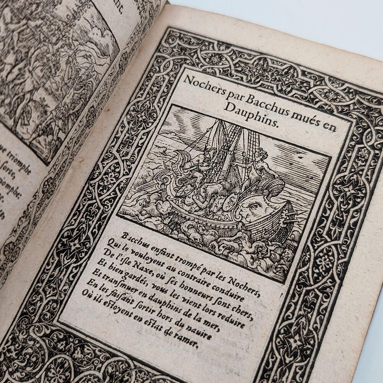OVIDE. La métamorphose d'Ovid figurée | Immagine Gallery 11
