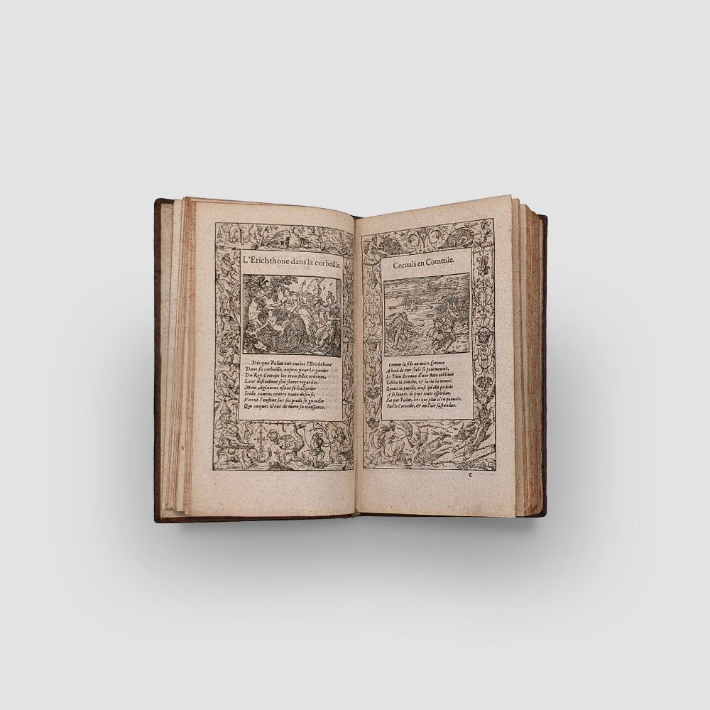 OVIDE. La métamorphose d'Ovid figurée | Immagine principale