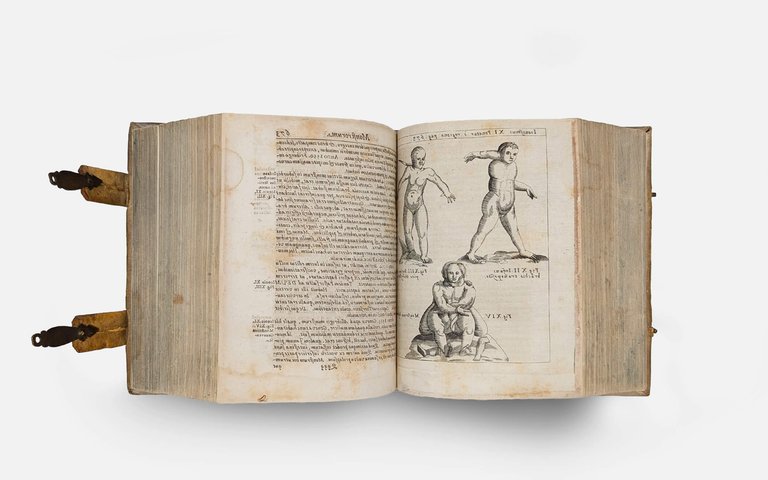 SCHOTT Casparis. Physica curiosa | Immagine Gallery 14