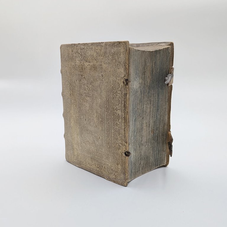 SCHOTT Casparis. Physica curiosa | Immagine Gallery 15