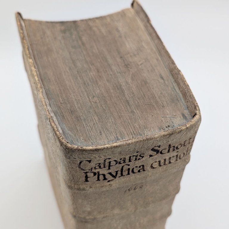 SCHOTT Casparis. Physica curiosa | Immagine Gallery 16
