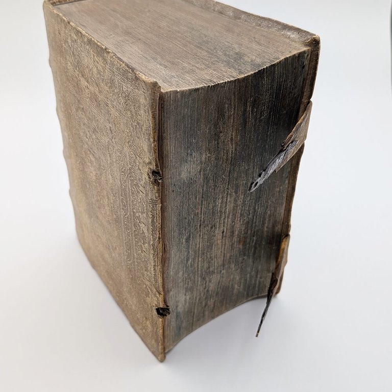 SCHOTT Casparis. Physica curiosa | Immagine Gallery 17