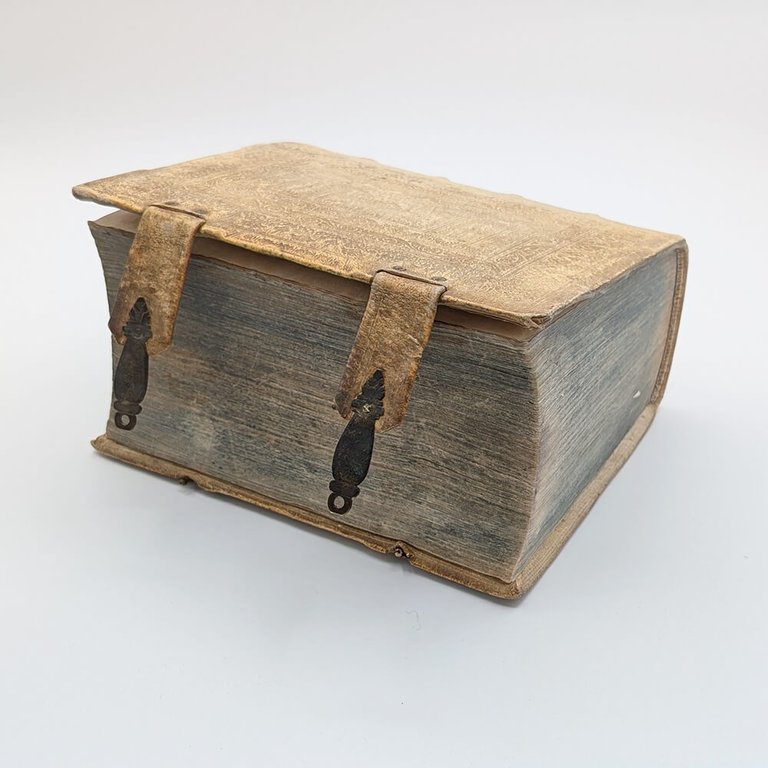 SCHOTT Casparis. Physica curiosa | Immagine Gallery 2