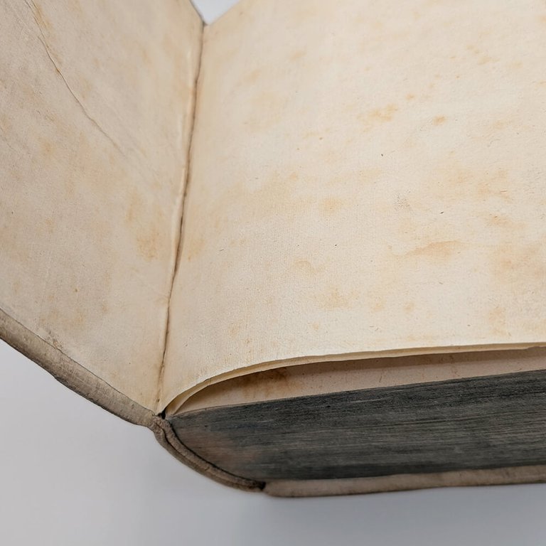 SCHOTT Casparis. Physica curiosa | Immagine Gallery 20