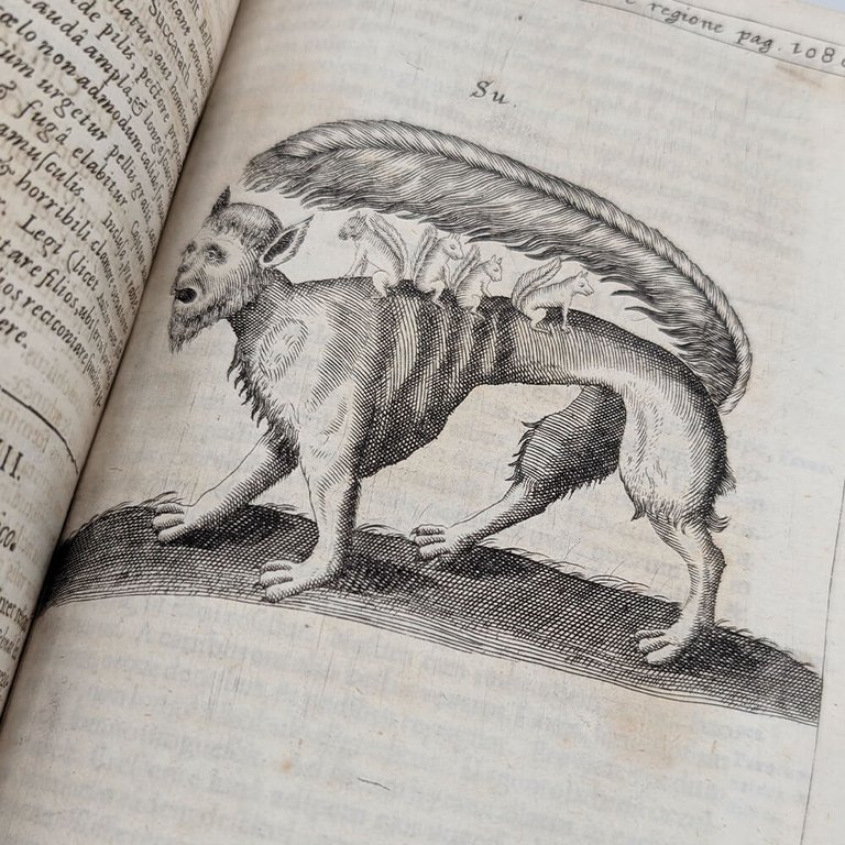 SCHOTT Casparis. Physica curiosa | Immagine Gallery 24