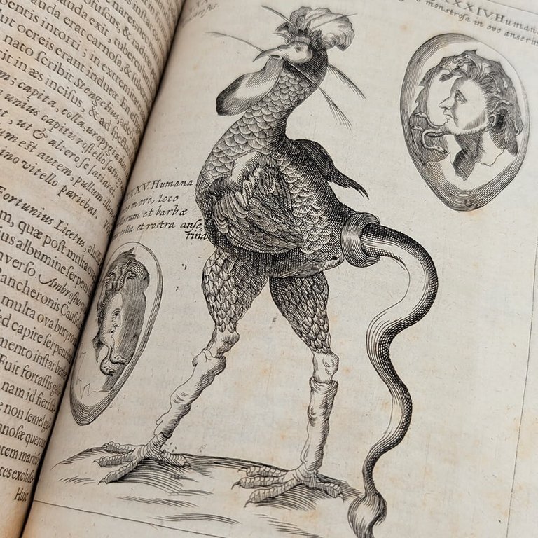 SCHOTT Casparis. Physica curiosa | Immagine Gallery 25