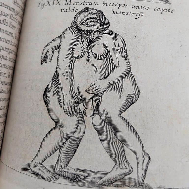 SCHOTT Casparis. Physica curiosa | Immagine Gallery 26