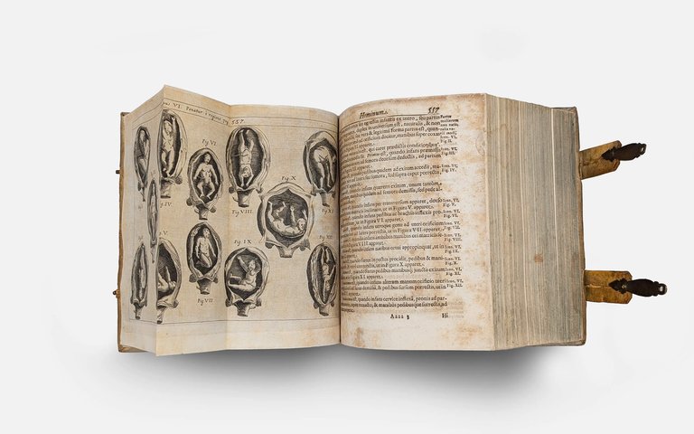 SCHOTT Casparis. Physica curiosa | Immagine Gallery 4