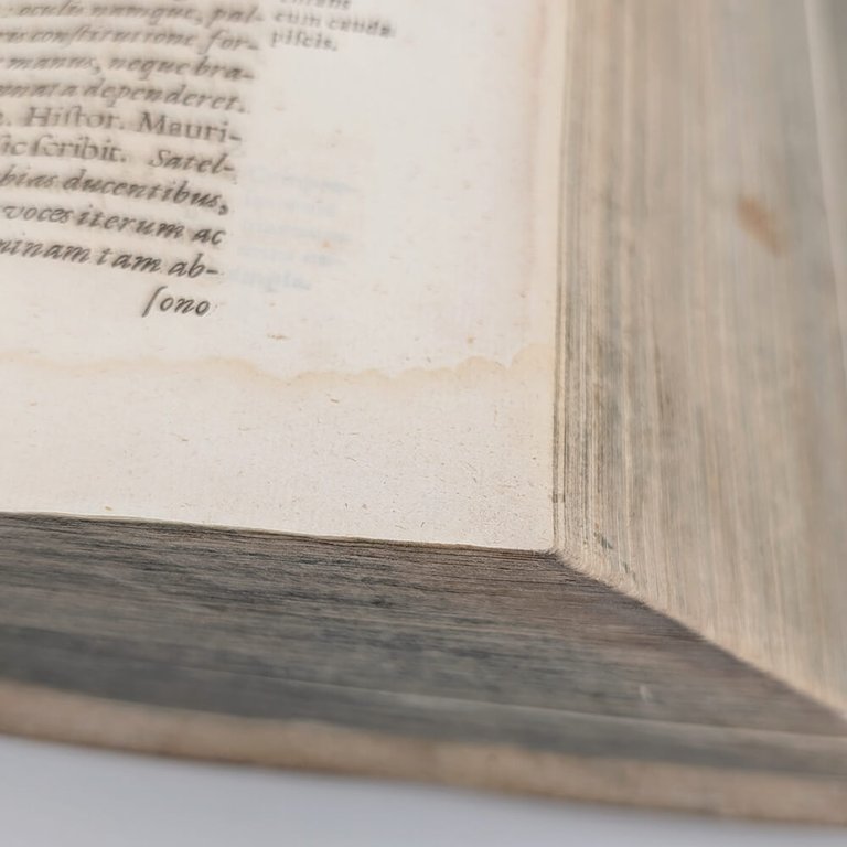 SCHOTT Casparis. Physica curiosa | Immagine Gallery 5