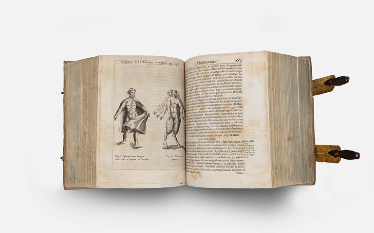 SCHOTT Casparis. Physica curiosa | Immagine Gallery 6