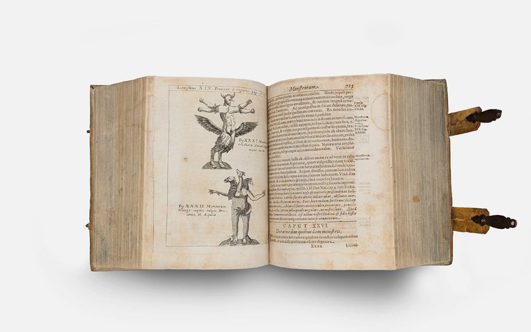 SCHOTT Casparis. Physica curiosa | Immagine Gallery 8
