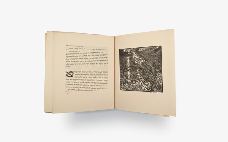 SCHREINER Olive - SCHWABE Carlos. Rêves. | Immagine Gallery 10