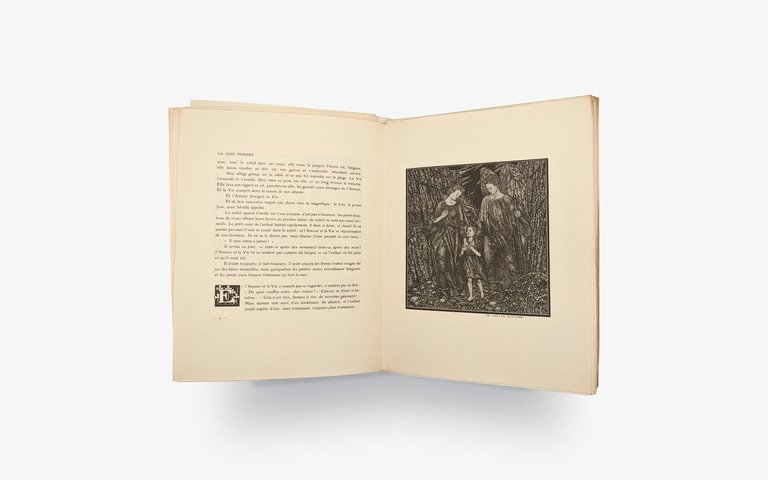 SCHREINER Olive - SCHWABE Carlos. Rêves. | Immagine Gallery 8